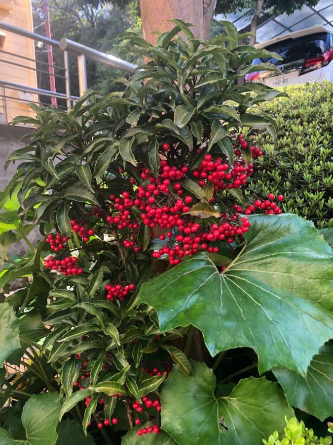 伊道荘園 Hotell Futo Eksteriør bilde