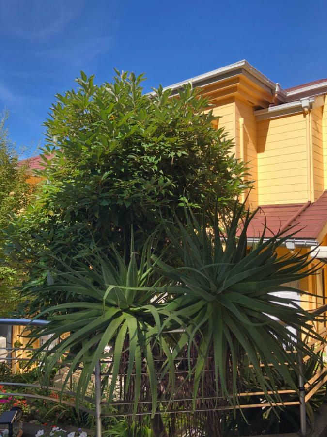 伊道荘園 Hotell Futo Eksteriør bilde